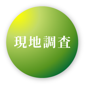 現地調査